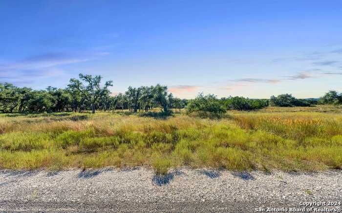 photo 1: 618 WINDMILL RIDGE DR, Blanco TX 78606