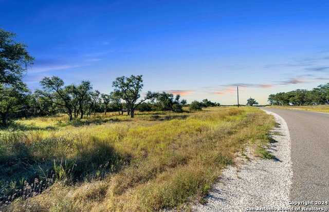 photo 3: 618 WINDMILL RIDGE DR, Blanco TX 78606