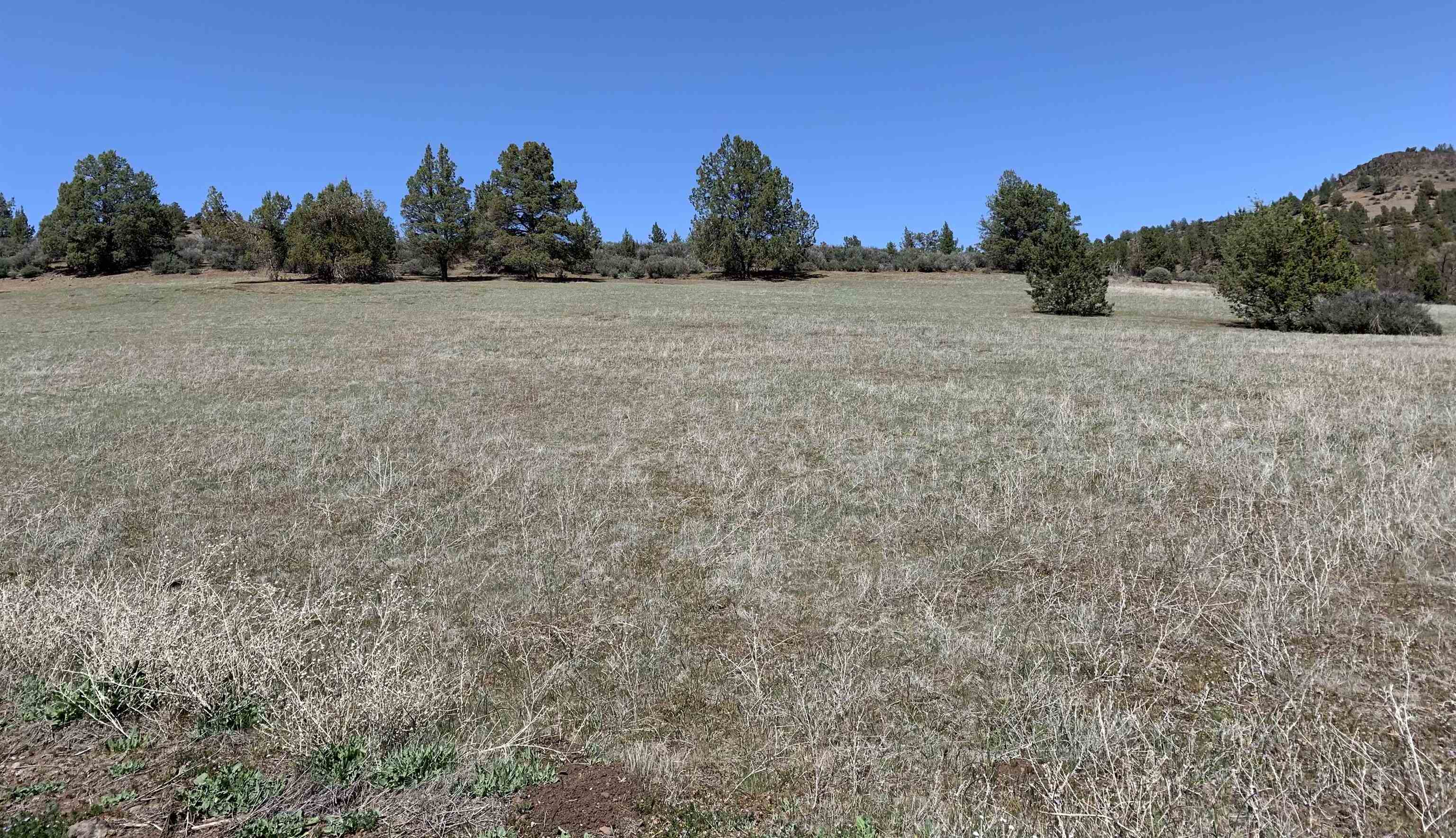 photo 1: Unit 4 Lot 511 Blue Gill Drive, Hornbrook CA 96044