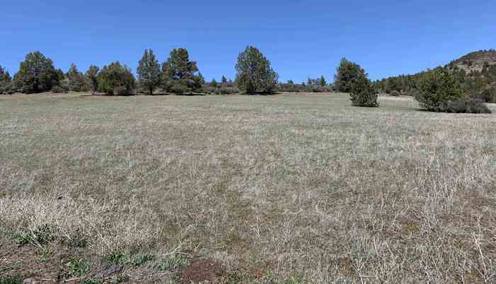 photo 1: Unit 4 Lot 511 Blue Gill Drive, Hornbrook CA 96044