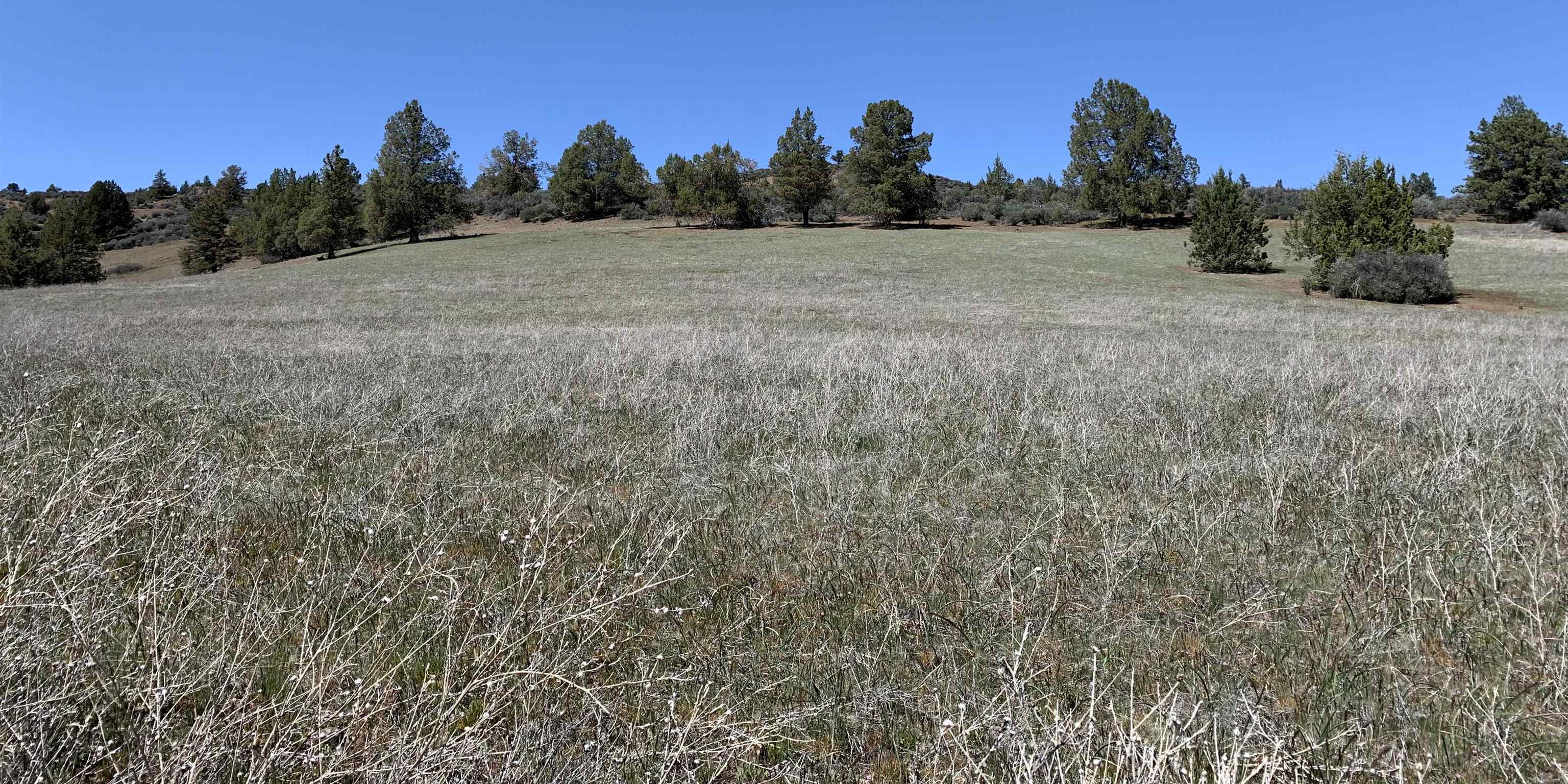 photo 2: Unit 4 Lot 511 Blue Gill Drive, Hornbrook CA 96044