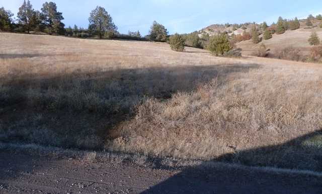 photo 3: Unit 4 Lot 511 Blue Gill Drive, Hornbrook CA 96044