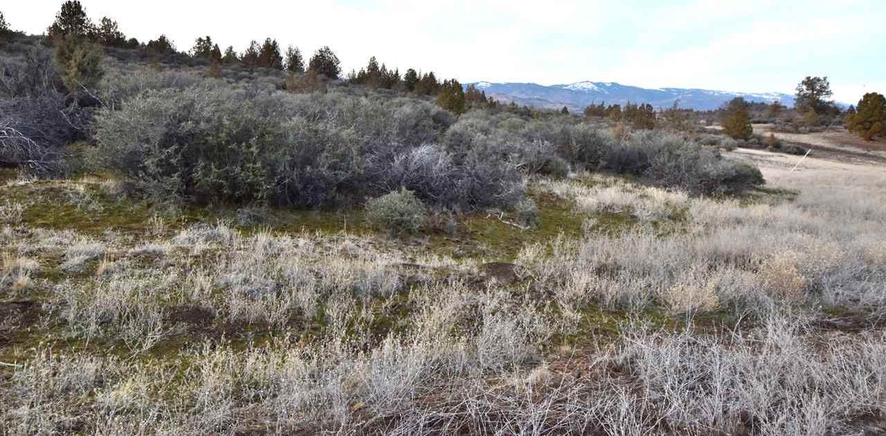 photo 3: Lot 735 Quail Dr., Hornbrook CA 96044