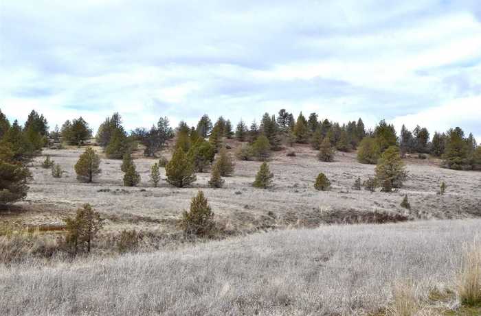 photo 11: Lot 135 Desavado Rd, Montague CA 96064