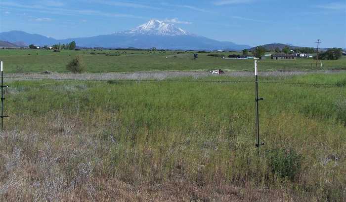 photo 2: Fiock Road, Montague CA 96064