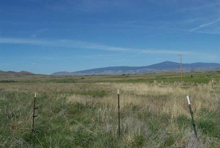 photo 25: Fiock Road, Montague CA 96064