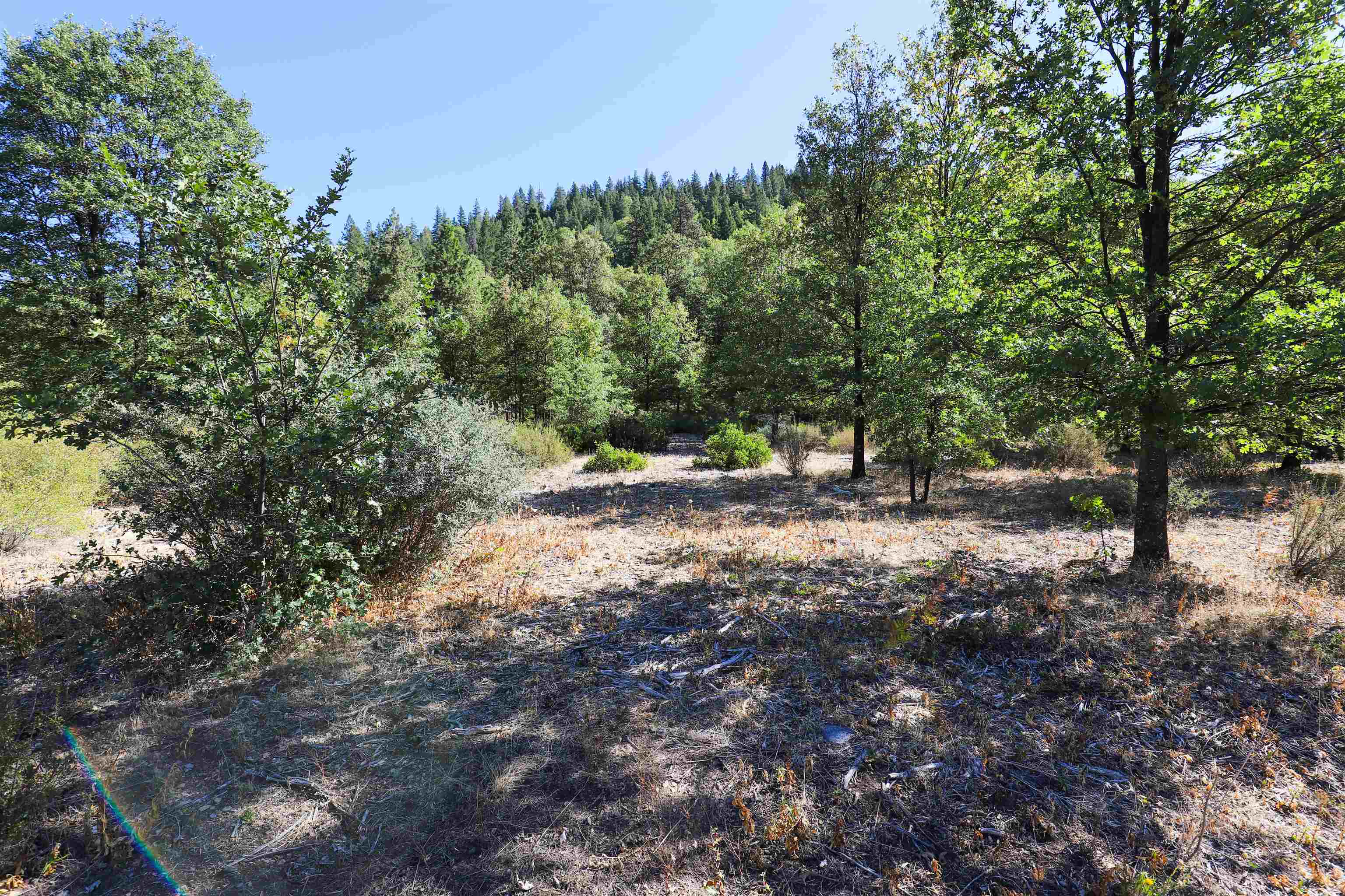 photo 1: 9.2 acres Spring Hill Drive, Mt Shasta CA 96067