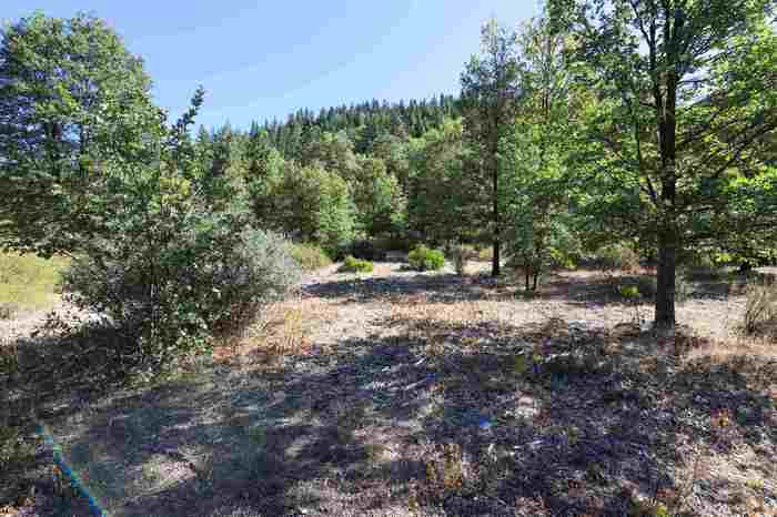 photo 1: 9.2 acres Spring Hill Drive, Mt Shasta CA 96067