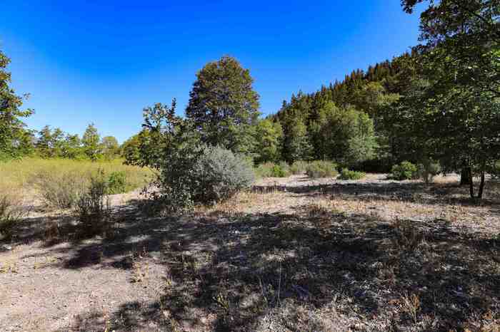 photo 2: 9.2 acres Spring Hill Drive, Mt Shasta CA 96067