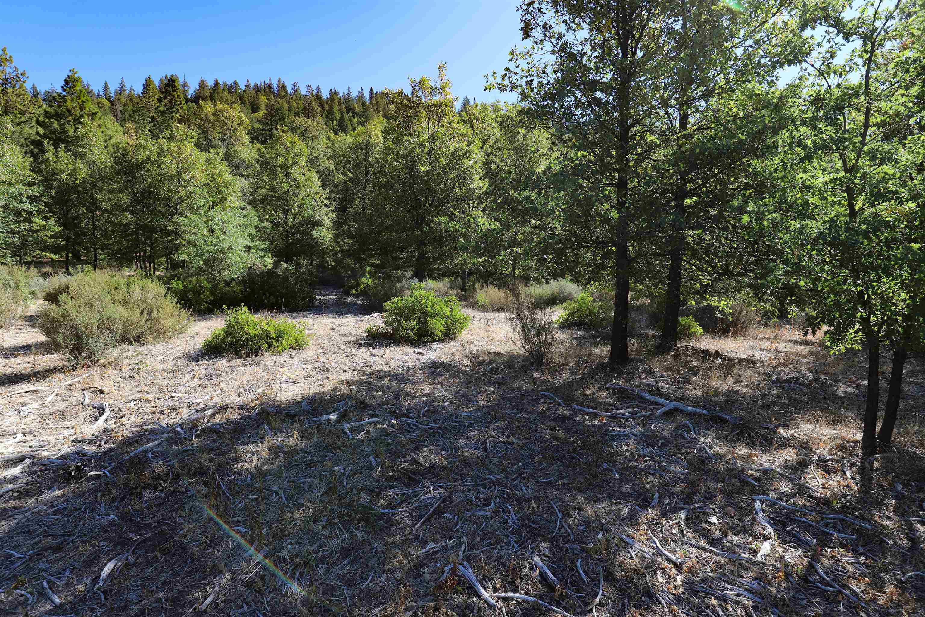 photo 3: 9.2 acres Spring Hill Drive, Mt Shasta CA 96067