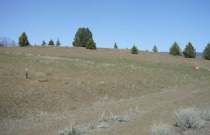 photo 1: 2.6 acres End of Fond Ave., Hornbrook CA 96044