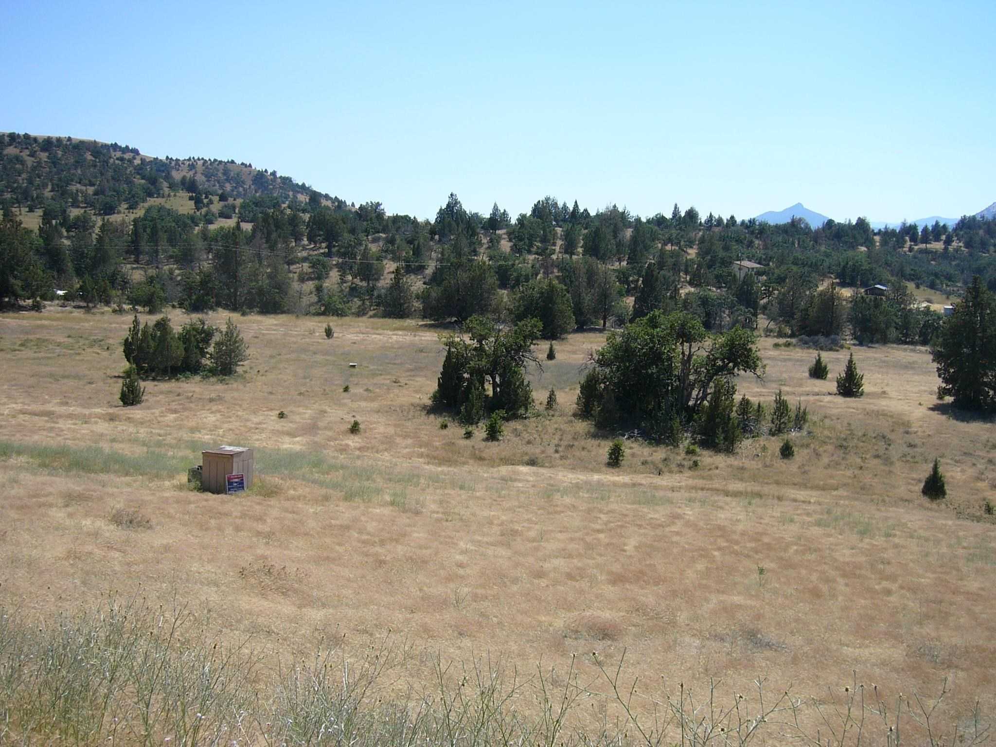 photo 1: 10 acres Omega Rd, Montague CA 96064