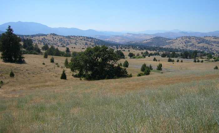 photo 2: 10 acres Omega Rd, Montague CA 96064