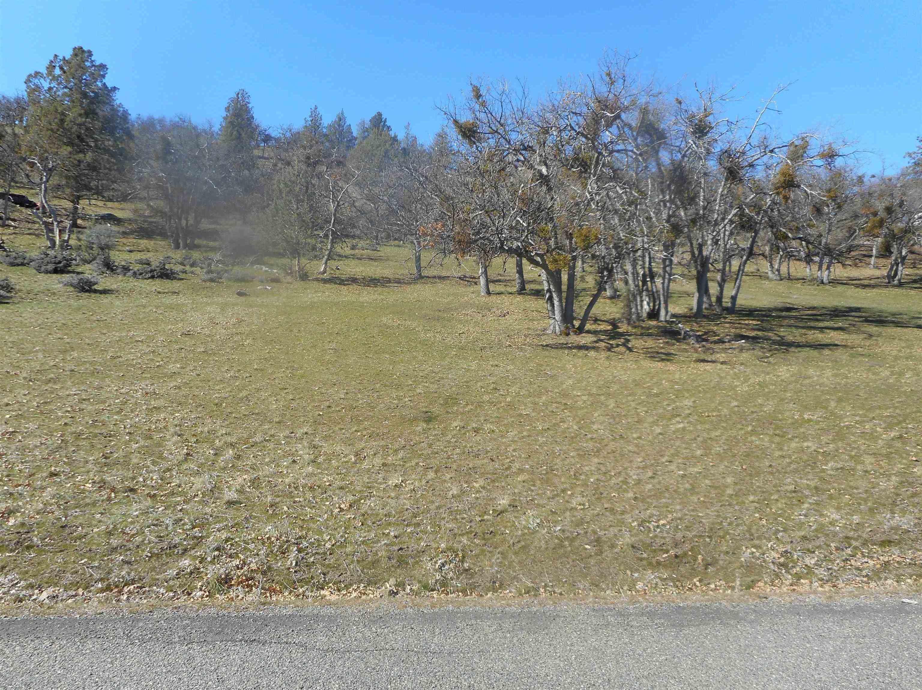 photo 1: Lot 4 Patricia, Montague CA 96064