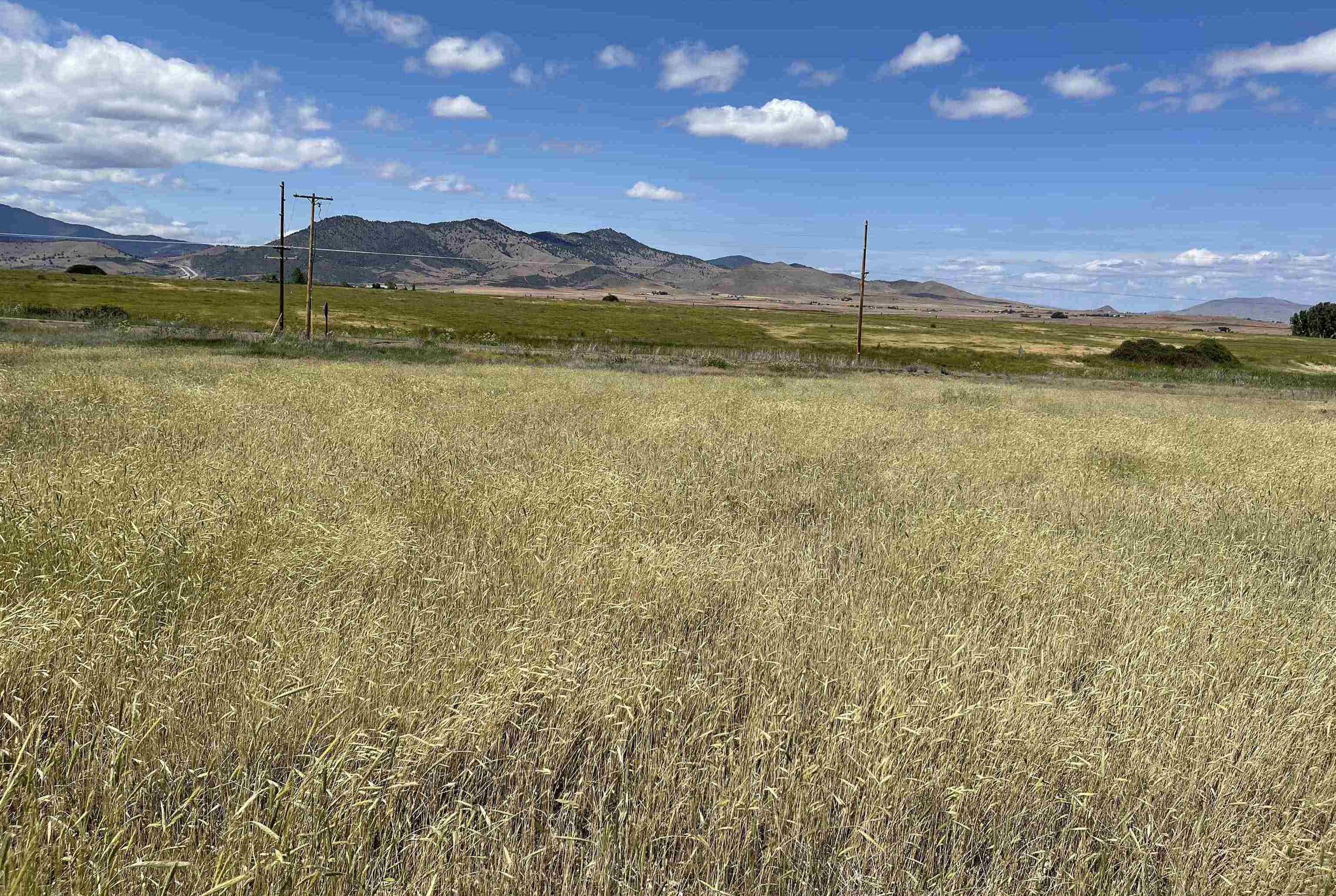 photo 1: Lot 34 Watson Ct, Montague CA 96064