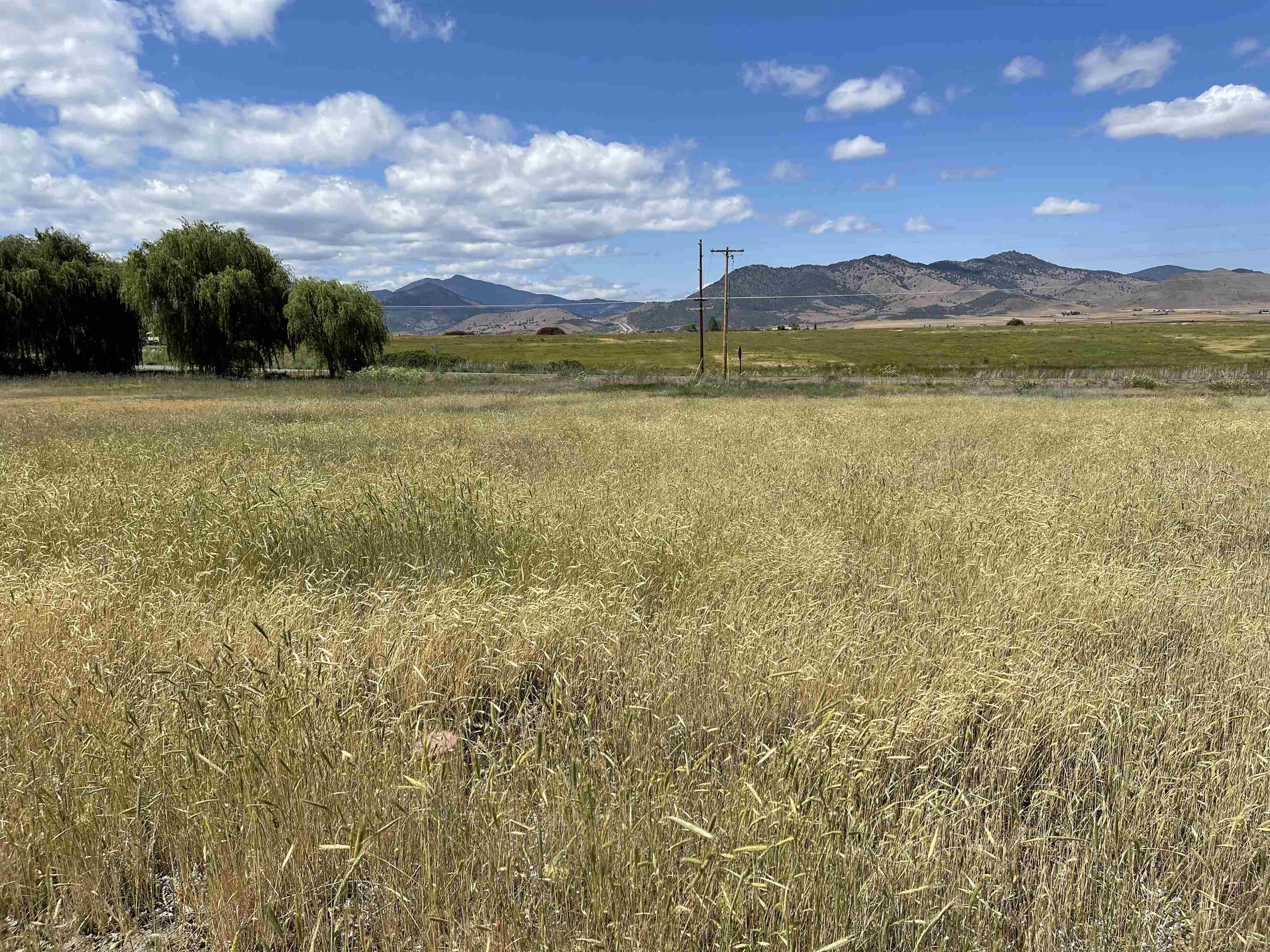 photo 2: Lot 34 Watson Ct, Montague CA 96064