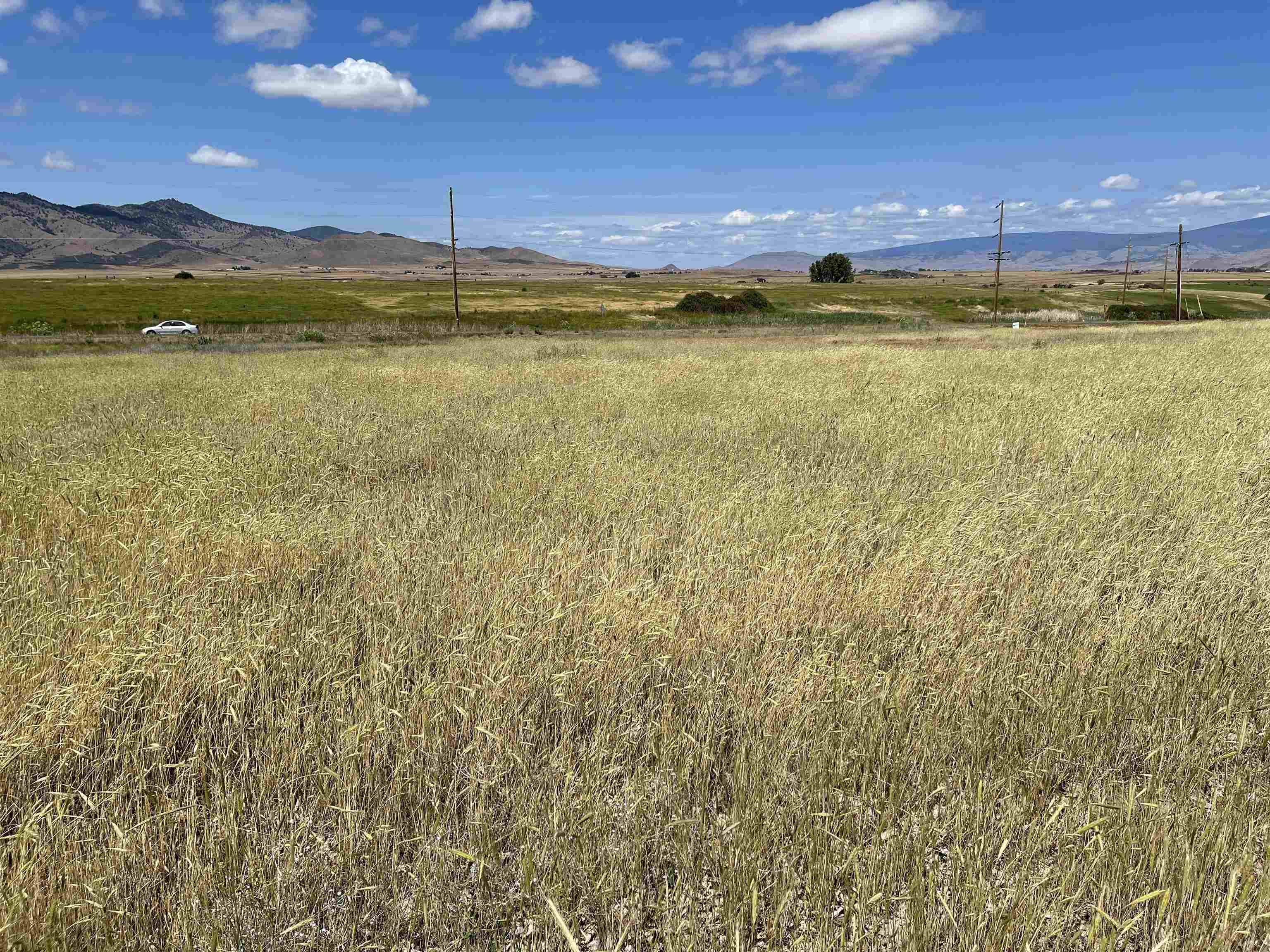 photo 3: Lot 34 Watson Ct, Montague CA 96064