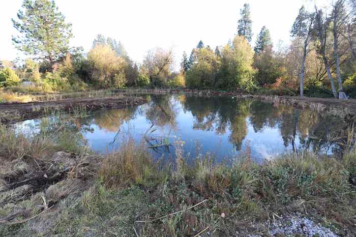 photo 1: lot 7 Ream Ave, Mt Shasta CA 96067