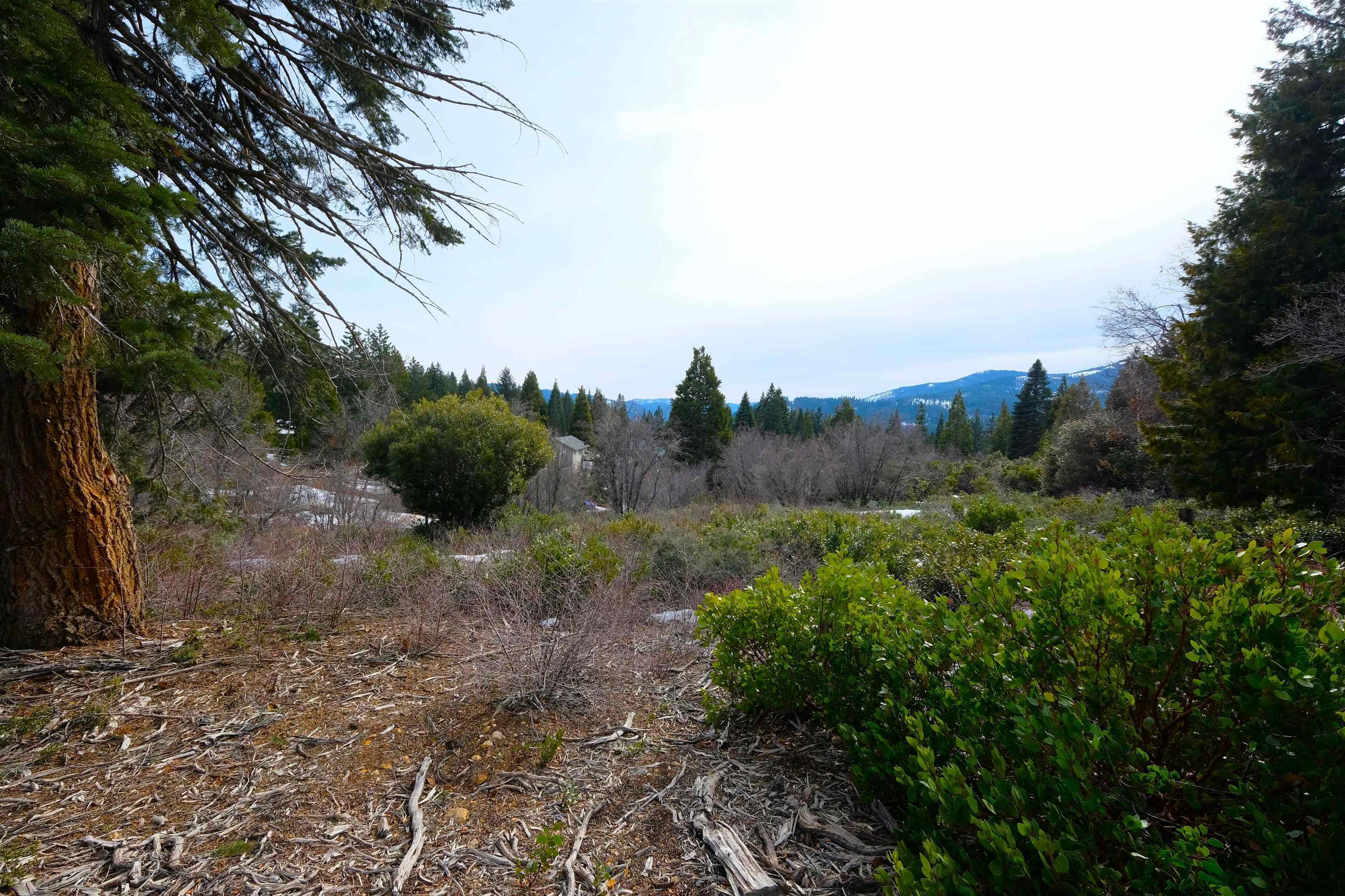 photo 2: Cnr of Matthew and Andrew Ct, Mt Shasta CA 96067