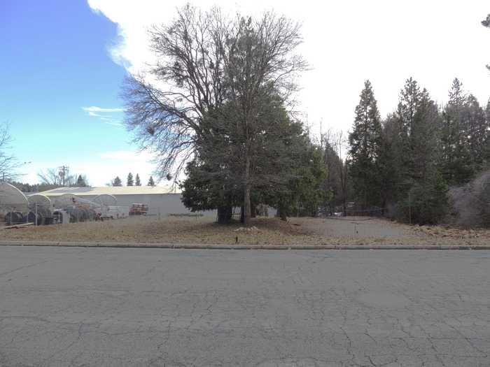 photo 1: Siskiyou Avenue, Mt Shasta CA 96067