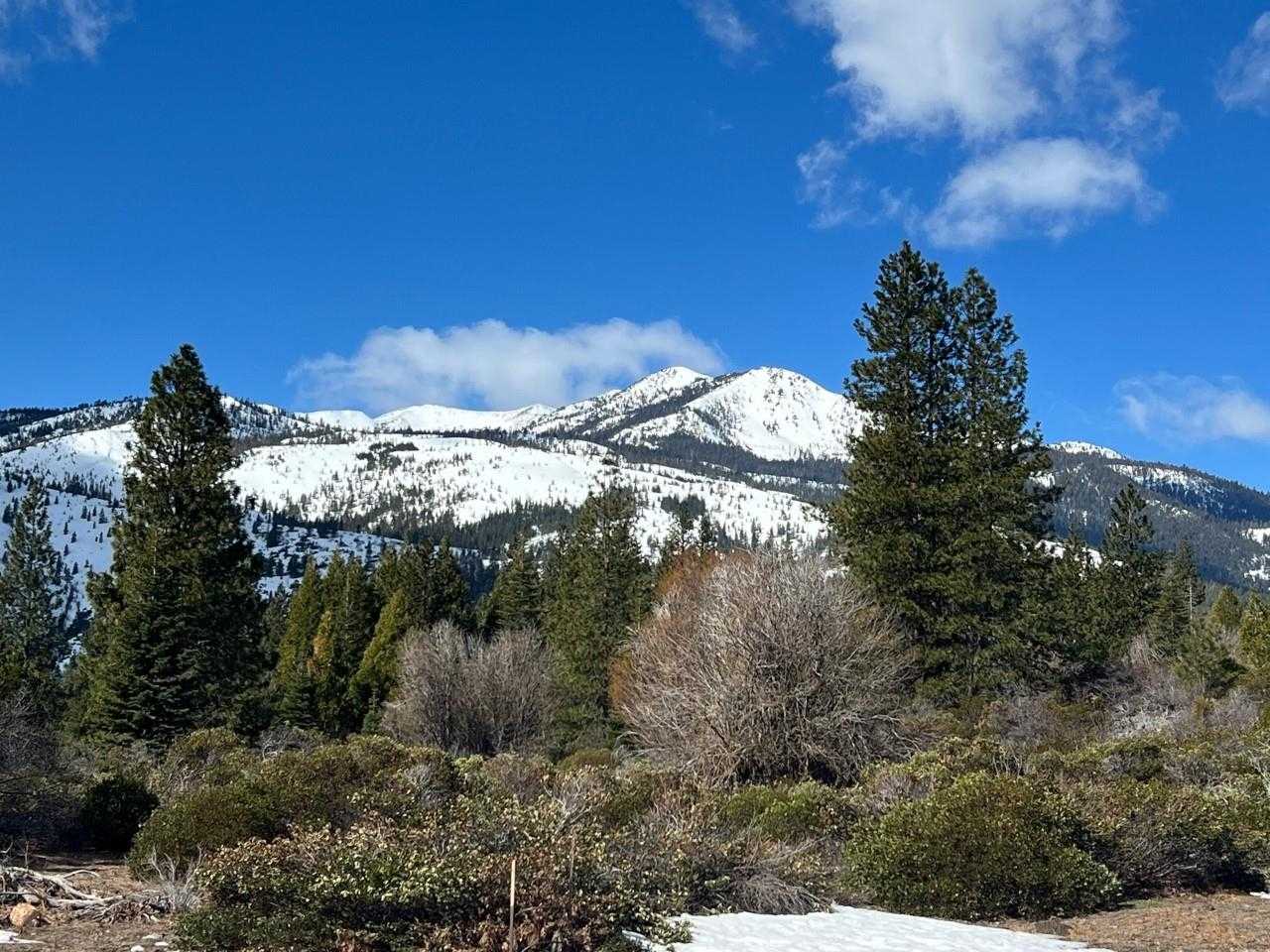 photo 1: Acreage Off N. Old Stage, Mt Shasta CA 96067