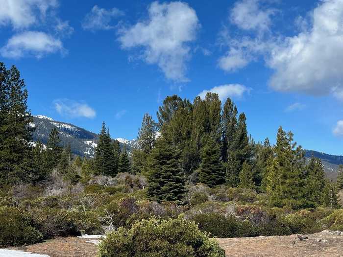 photo 2: Acreage Off N. Old Stage, Mt Shasta CA 96067