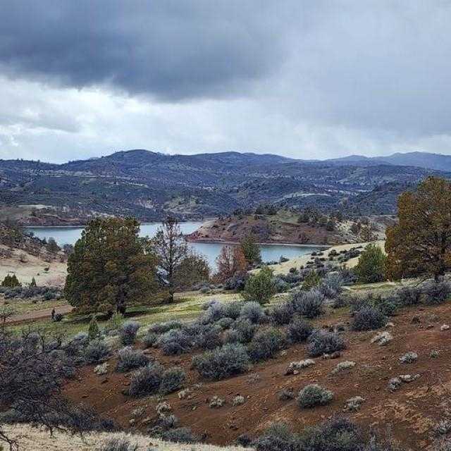 photo 2: lot 102 Lakeside Ln, Hornbrook CA 96044