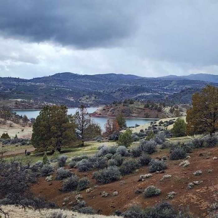 photo 2: lot 102 Lakeside Ln, Hornbrook CA 96044