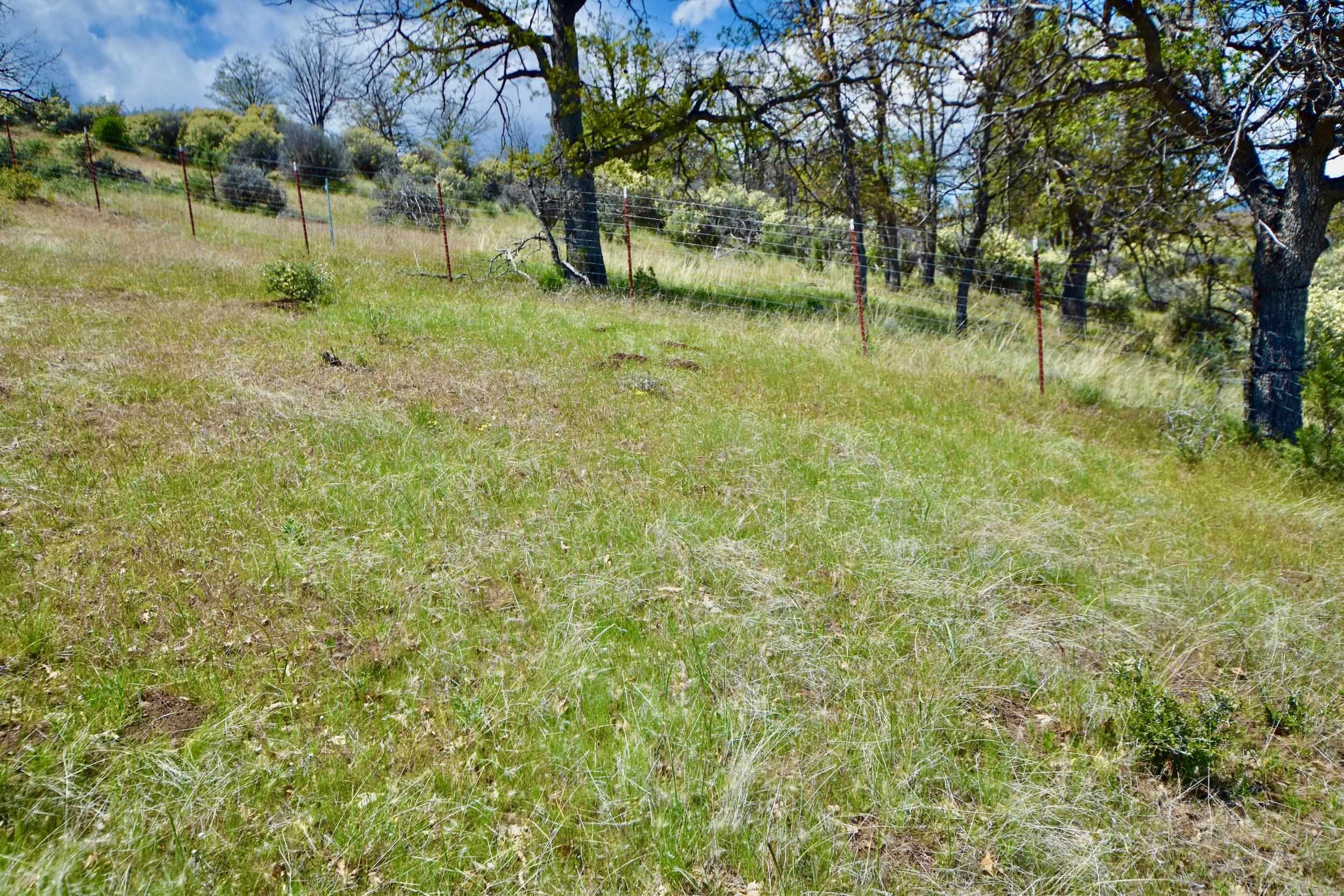 photo 3: Lot 373 Carp St, Montague CA 96064