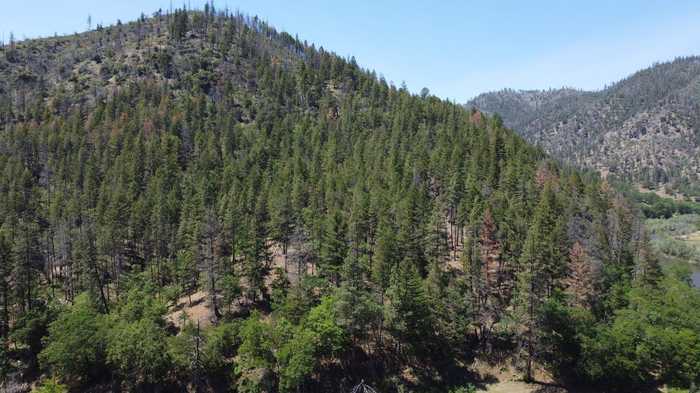 photo 2: Lot 17 State Highway 96, Horse Creek CA 96095