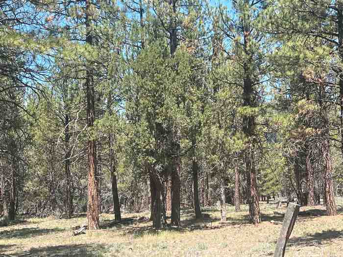 photo 1: Lot 32 Old State Road, MacDoel CA 96058