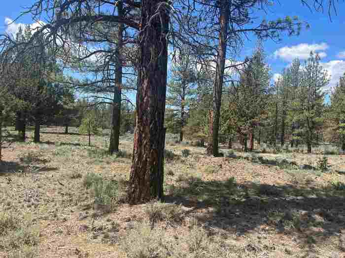 photo 2: Lot 32 Old State Road, MacDoel CA 96058