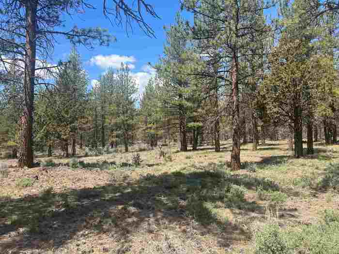 photo 4: Lot 32 Old State Road, MacDoel CA 96058