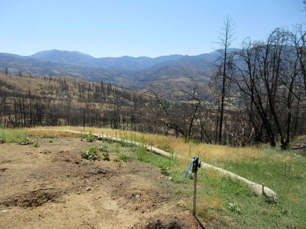 photo 3: 1519 Oak Knoll Rd, Klamath River CA 96050