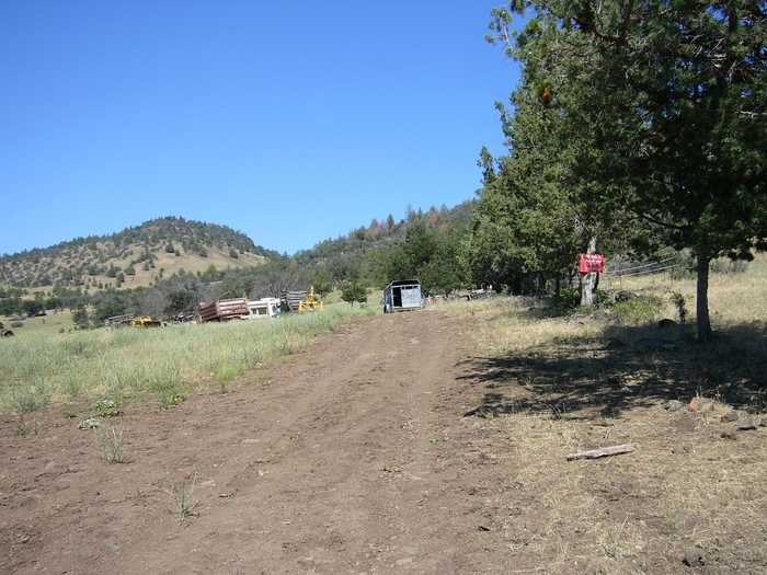 photo 19: Just off Camp Ck Rd, Hornbrook CA 96044