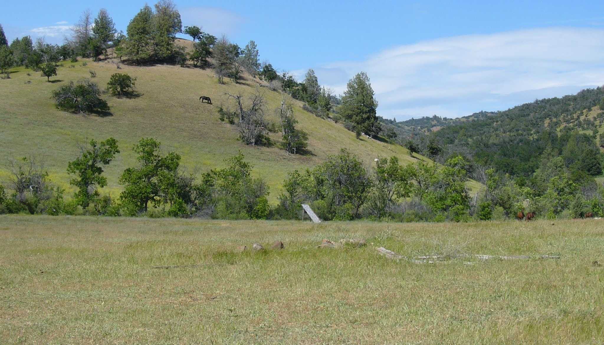 photo 2: Just off Camp Ck Rd, Hornbrook CA 96044