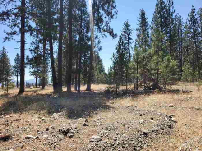 photo 2: 00 N. Kidder Creek Rd., Greenview CA 96037