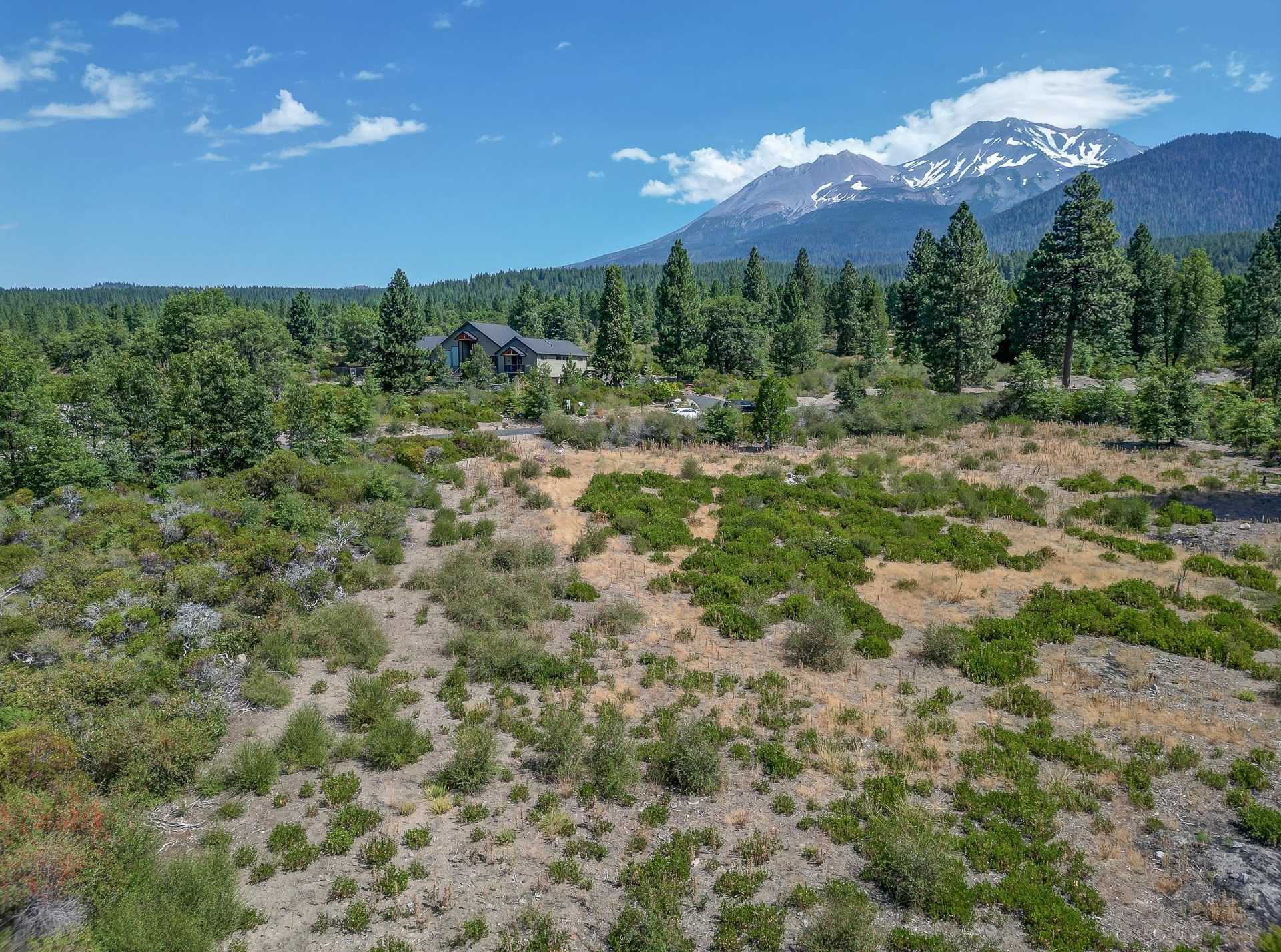 photo 1: 1370 Northridge Drive, Mt Shasta CA 96067