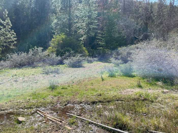 photo 2: 9.1 acres Humbug Gulch Rd, Yreka CA 96097