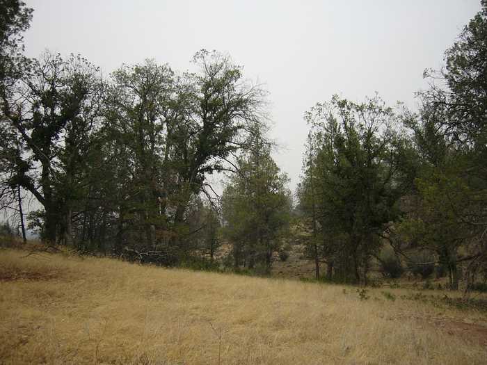 photo 22: Moonfish Dr. 6.59 acres, Montague CA 96064