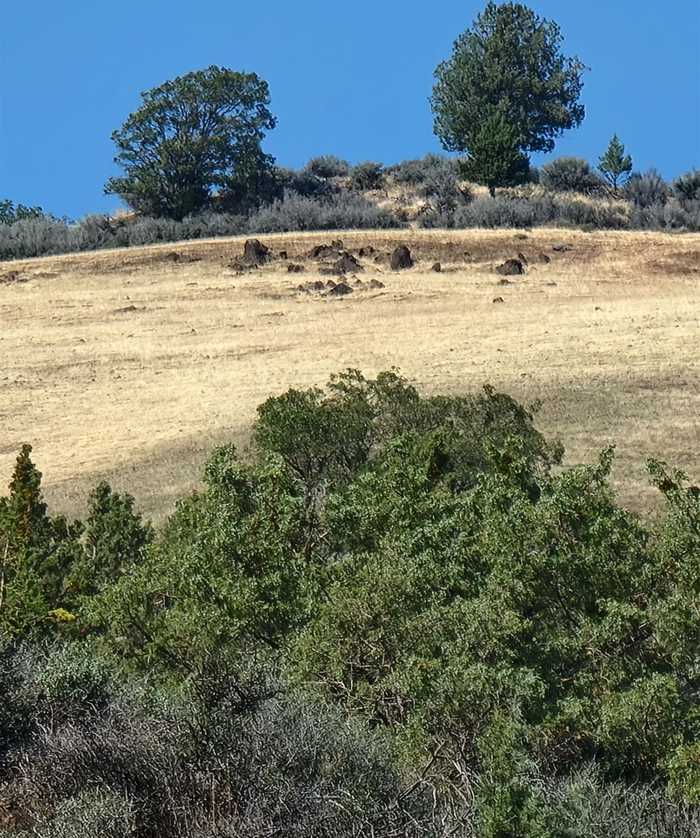 photo 1: Lot 17 Camp Creek Rd, Hornbrook CA 96044