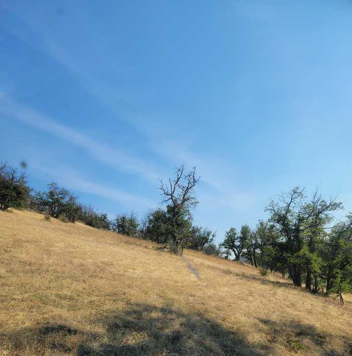 photo 2: Lot 17 Camp Creek Rd, Hornbrook CA 96044