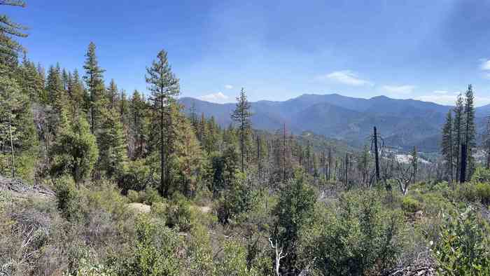 photo 1: Lot #11 Horse Creek Haven, Horse Creek CA 96050