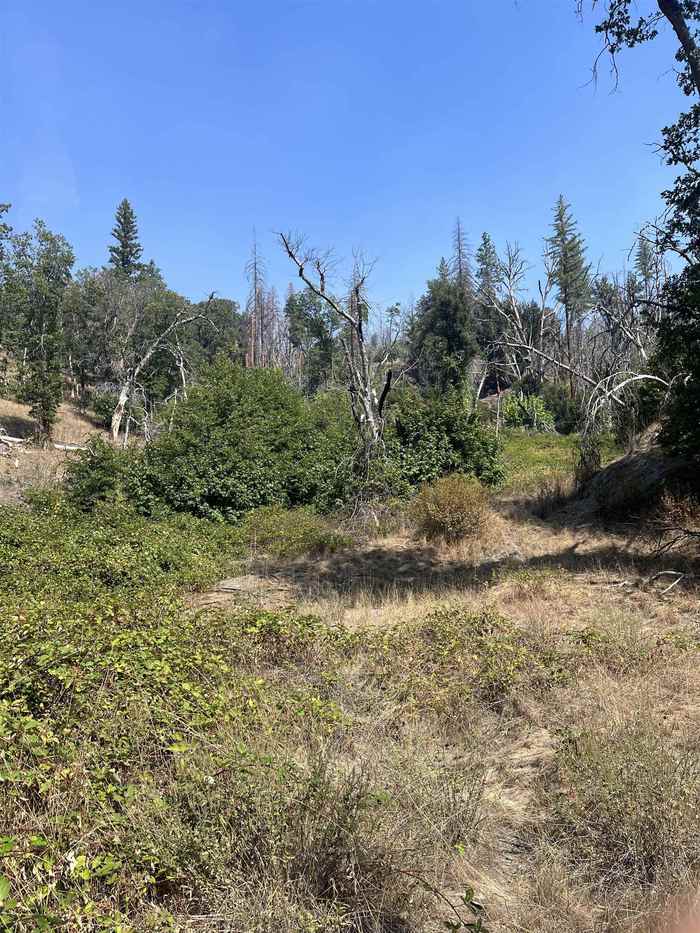 photo 2: Lot #11 Horse Creek Haven, Horse Creek CA 96050