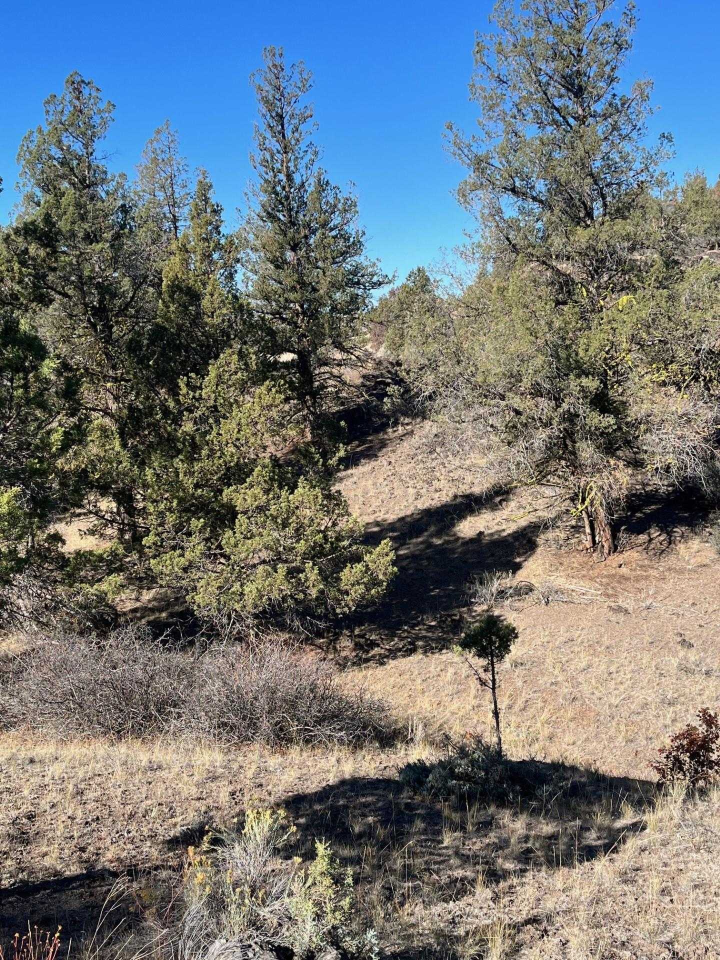 photo 1: Lot 269 Desavado, Montague CA 96064