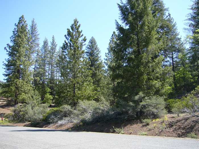 photo 2: Apx. 3.8 miles up Indian Ck Rd., Fort Jones CA 96032