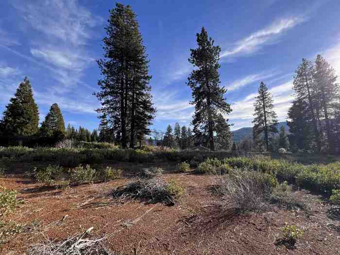 photo 1: Lot 1 Scenic Estates Trail, Mt Shasta CA 96067