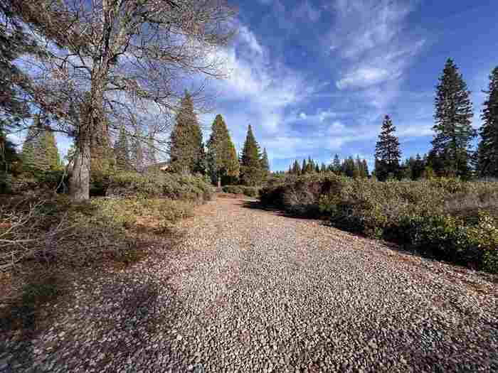 photo 2: Lot 1 Scenic Estates Trail, Mt Shasta CA 96067