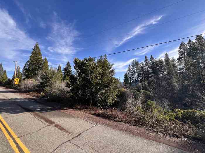 photo 32: Lot 1 Scenic Estates Trail, Mt Shasta CA 96067