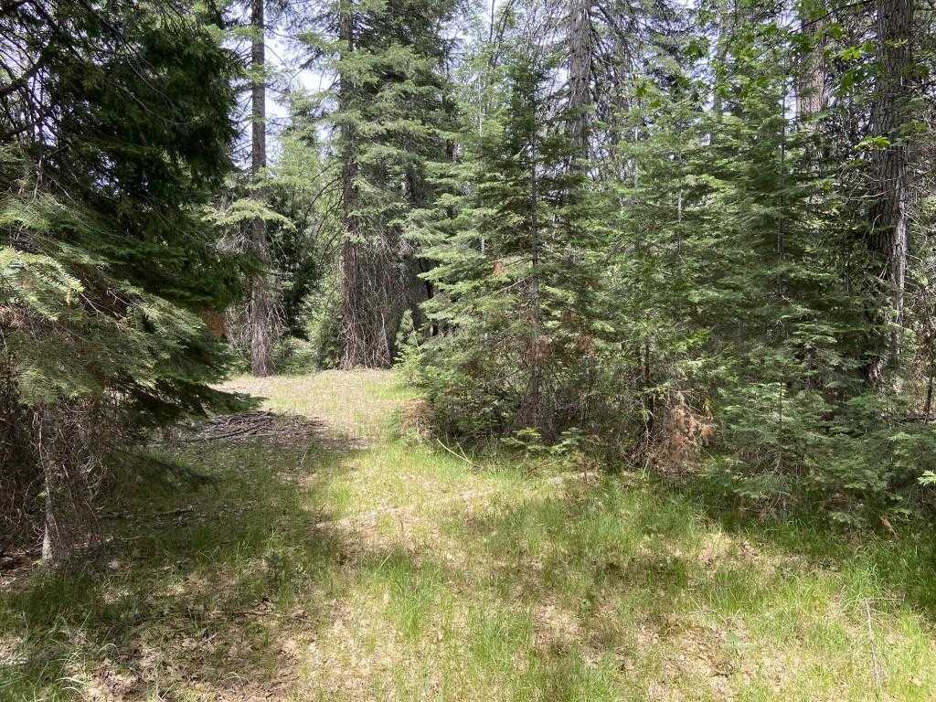 photo 1: 1-A-5 Mt Shasta Dr, McCloud CA 96057